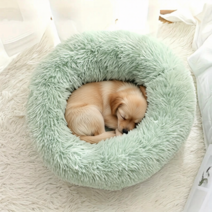 Pet Donut bed