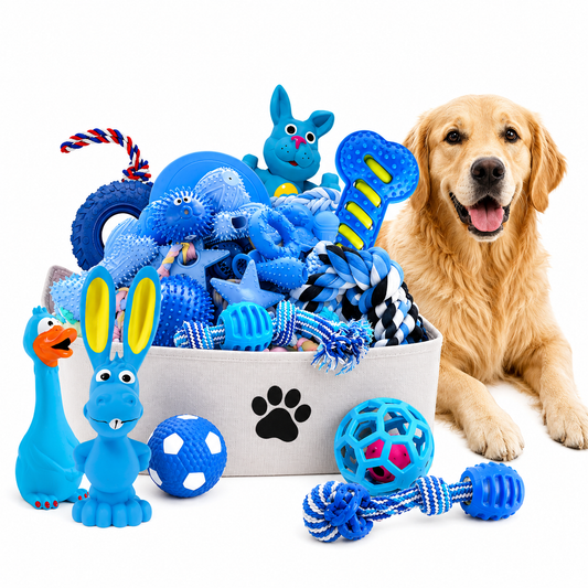 Chewable Dog Toy Set (12 pack, Random selection)