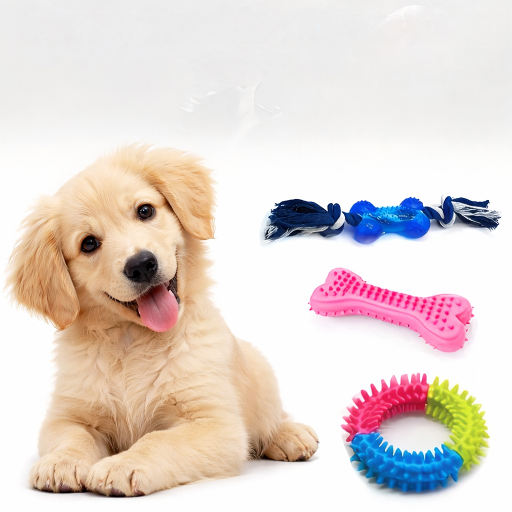 Chewable Dog Toy Set (12 pack, Random selection)