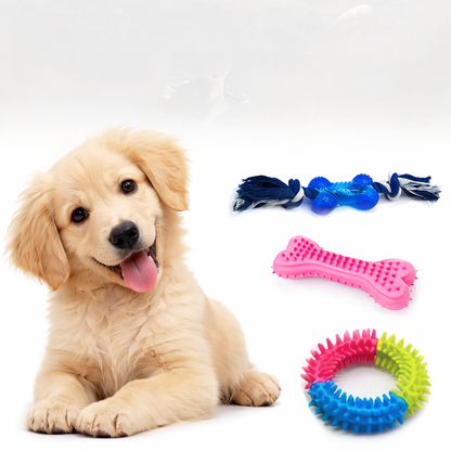 Chewable Dog Toy Set (12 pack, Random selection)