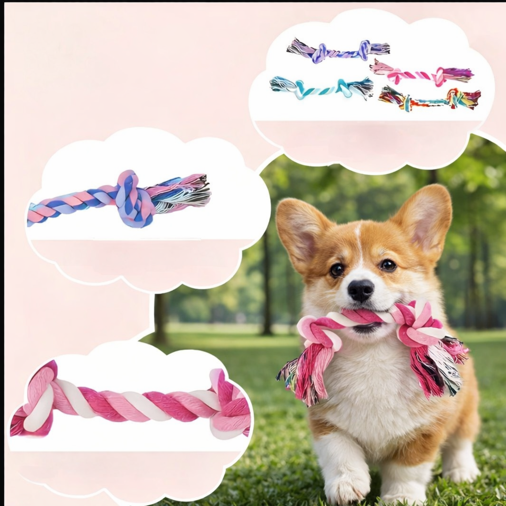 Chewable Dog Toy Set (12 pack, Random selection)